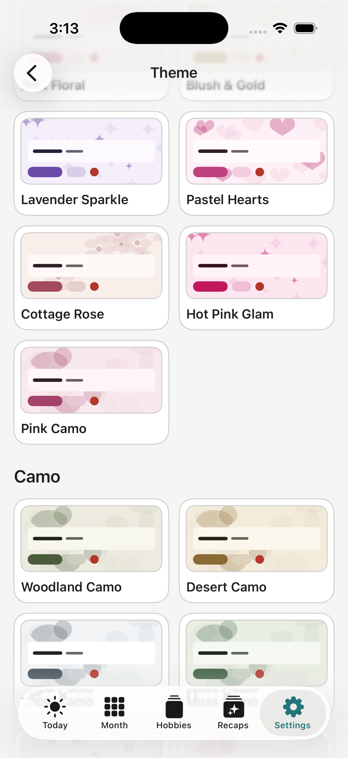 Hobby Tracker appearance selector showing colorful and camouflage themes.