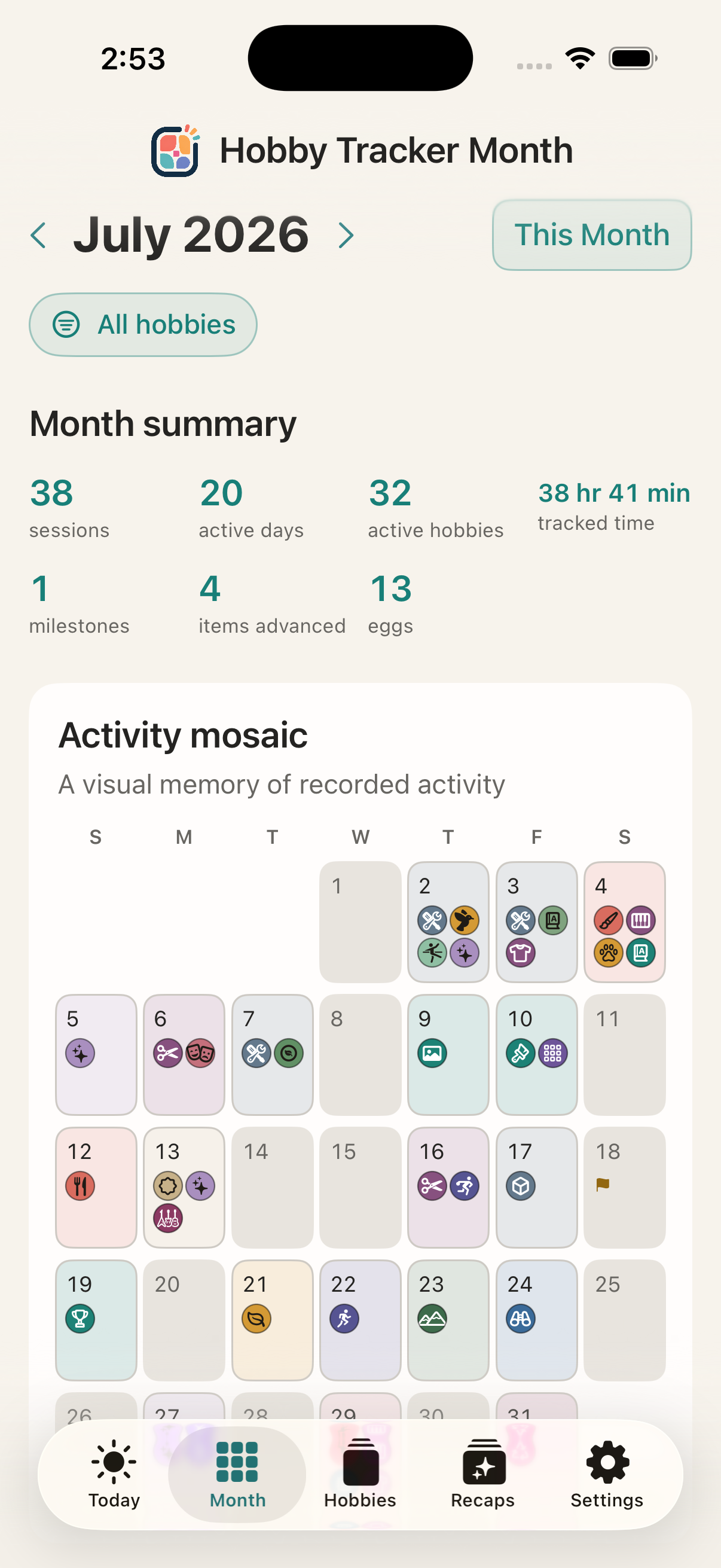 a monthly hobby activity mosaic with colored days and a summary of recorded activity.